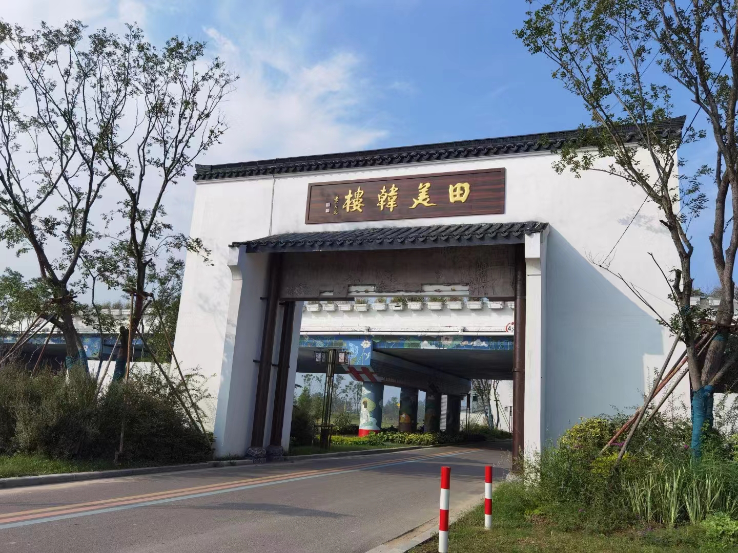 沛县湖西农场 (1).jpg