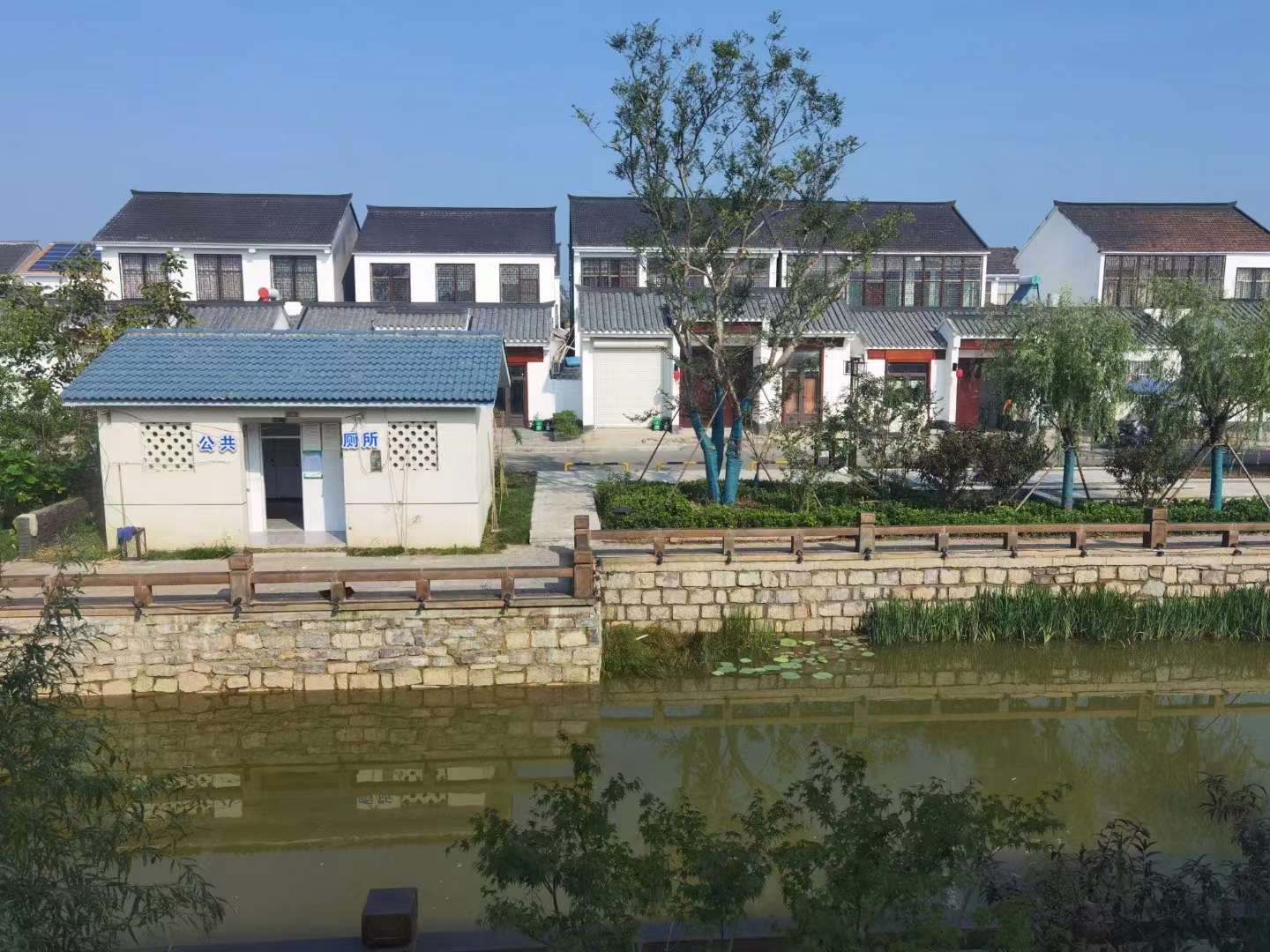 沛县湖西农场 (2).jpg