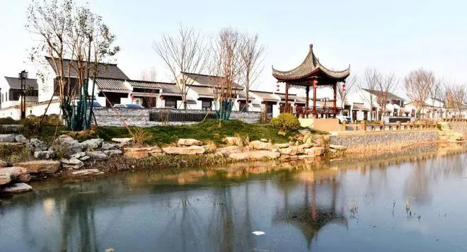 沛县湖西农场 (2).webp