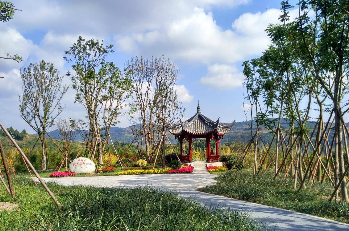 龙泉山城市森林公园 (2).jpg